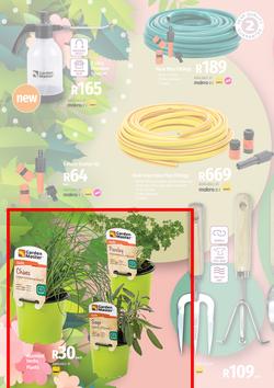 Garden Master Builders : Hello Spring (01 September - 30 October 2022), page 1