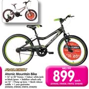 Raleigh Atomic Mountain Bike