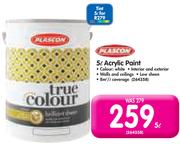 Plascon 5L Acrylic Paint