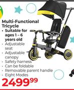Multi-Functional Tricycle 