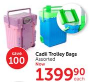 Cadii school sale bag at game