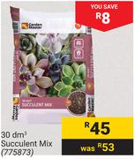 Garden Master 30 dm3 Succulent Mix 775873