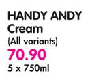Handy Andy Cream(All Variants)-5x750ml