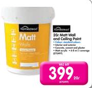 Homestead 20Ltr Matt Wall and Ceiling Paint.