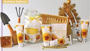 Nature's Edition Sunflower Radiance Golden Hour Favourites Pamper Jar 4 Piece-Per Set