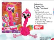 Pets Alive Frankie The Funky Flamingo!