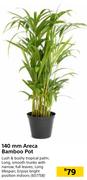 140mm Areca Bamboo Pot