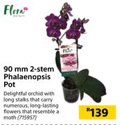 Flora 90mm 2 Stem Phalaenopsis Pot