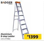 Badger 8 Step Aluminium Ladder 2.4m