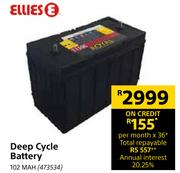 Ellies Deep Cycle Battery