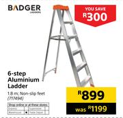 Badger 6-Step Aluminium Ladder