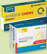 Entiro Probiotic 10 Chews-Per Pack