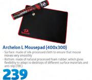 Archelon L Mousepad(400x300)