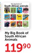 My Big Book Of South African Animals