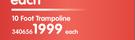 Horizon 10 Foot Trampoline Including Net And Spring Pad Cover-Each