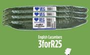English Cucumber-For 3