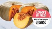 White Or Crown Pumpkins-For 3