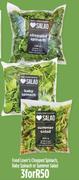 Food Lover's Chopped Spinach Baby Spinach Or Summer Salad-For 3