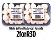 White Button Mushroom Punnets-For 2