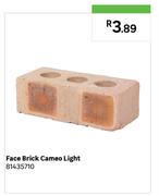 Cameo Light Face Brick 81435710