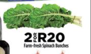 Farm Fresh Spinach Bunches-For 2