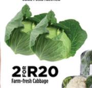 Farm Fresh Cabbage-For 2