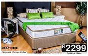 Megapedic Chiropractic Double Or Queen Mattress & Base 