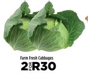 Farm Fresh Cabbages-For 2