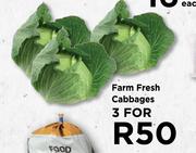 Farm Fresh Cabbages-For 3