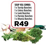 Soup Veg Combo-Per Combo