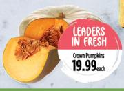 Crown Pumpkins-Each