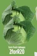 Farm Fresh Cabbages-For 2