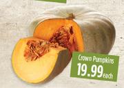 Crown Pumpkin-Each