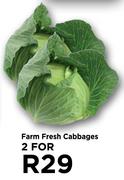 Farm Fresh Cabbages-For 2