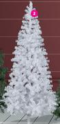 Canadian Pine Trees Green Tree 240cm-Each