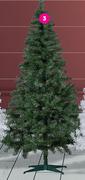 Canadian Pine Trees Green Or White Tree 210cm-Each