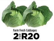 Farm Fresh Cabbages-For 2