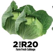 Farm Fresh Cabbage-For 2