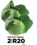 Farm Fresh Cabbages-For 2