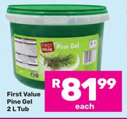 First Value Pine Gel Tub-2L Each