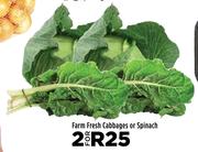 Farm Fresh Cabbages Or Spinach-For 2