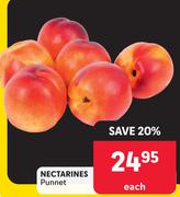 Nectarines Punnet