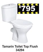 Tamarin Toilet Top Flush 34294