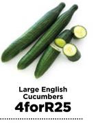 Large English Cucumbers-For 4