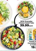 New Everyday Cheese Salad Tubs-Each