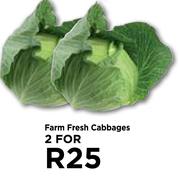 Farm Fresh Cabbages For 2