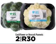 Cauliflower Or Broccolli Punnets-For 2