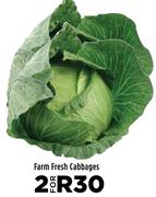 Farm Fresh Cabbages-For 2