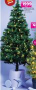180cm Pre Lit Tree-Each