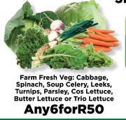 Farm Fresh Veg-For 6
